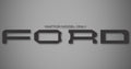 Hood Logo for 2024-2026 Ford Bronco