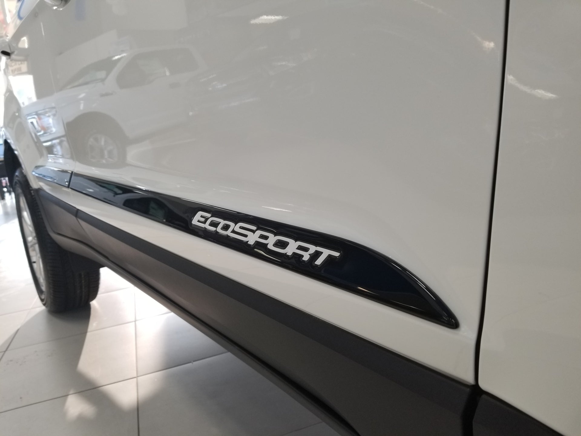 Groove Trims for 2018-2022 Ford EcoSport — 2