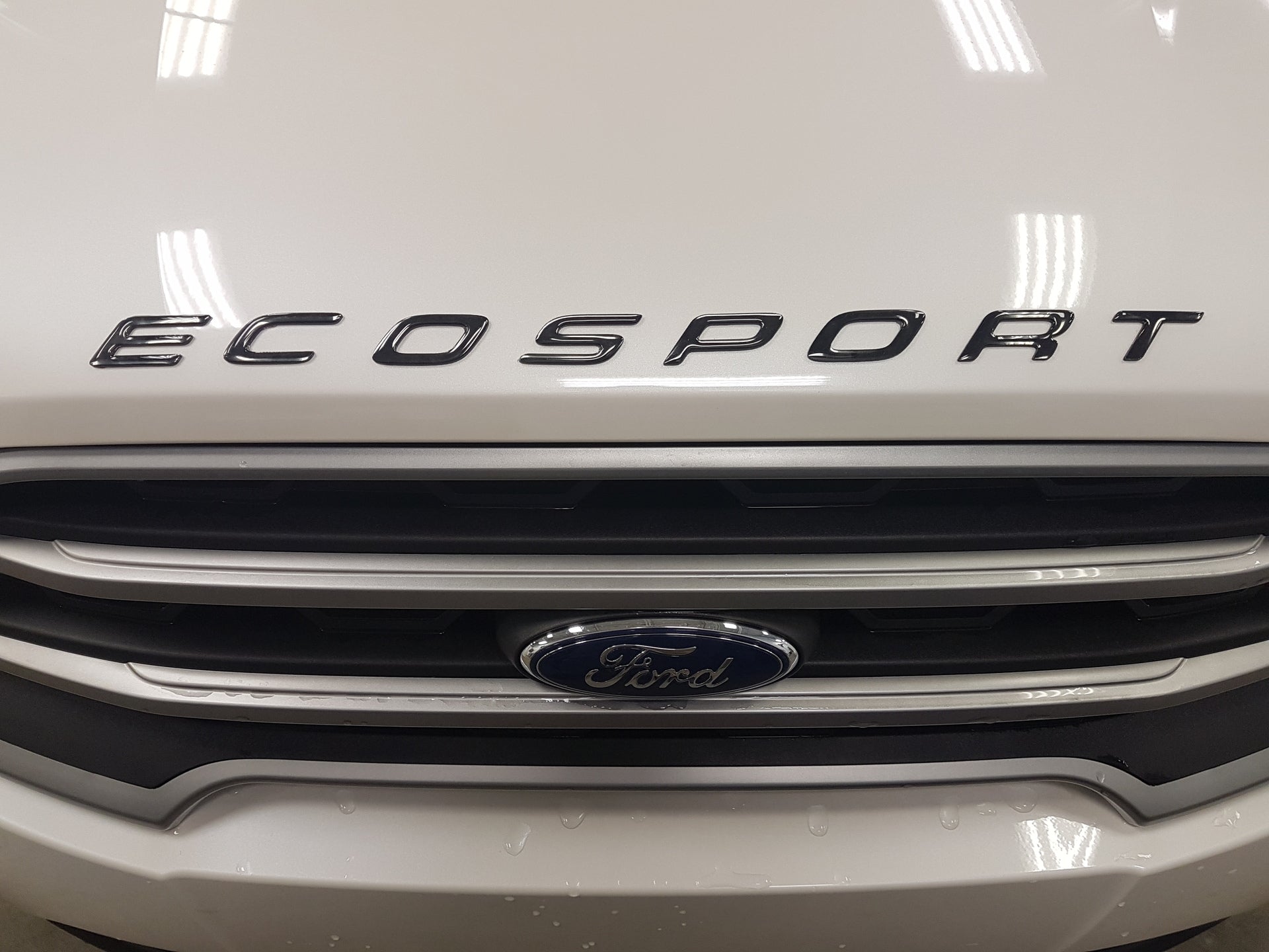 Hood Logo for 2018-2022 Ford EcoSport — 3