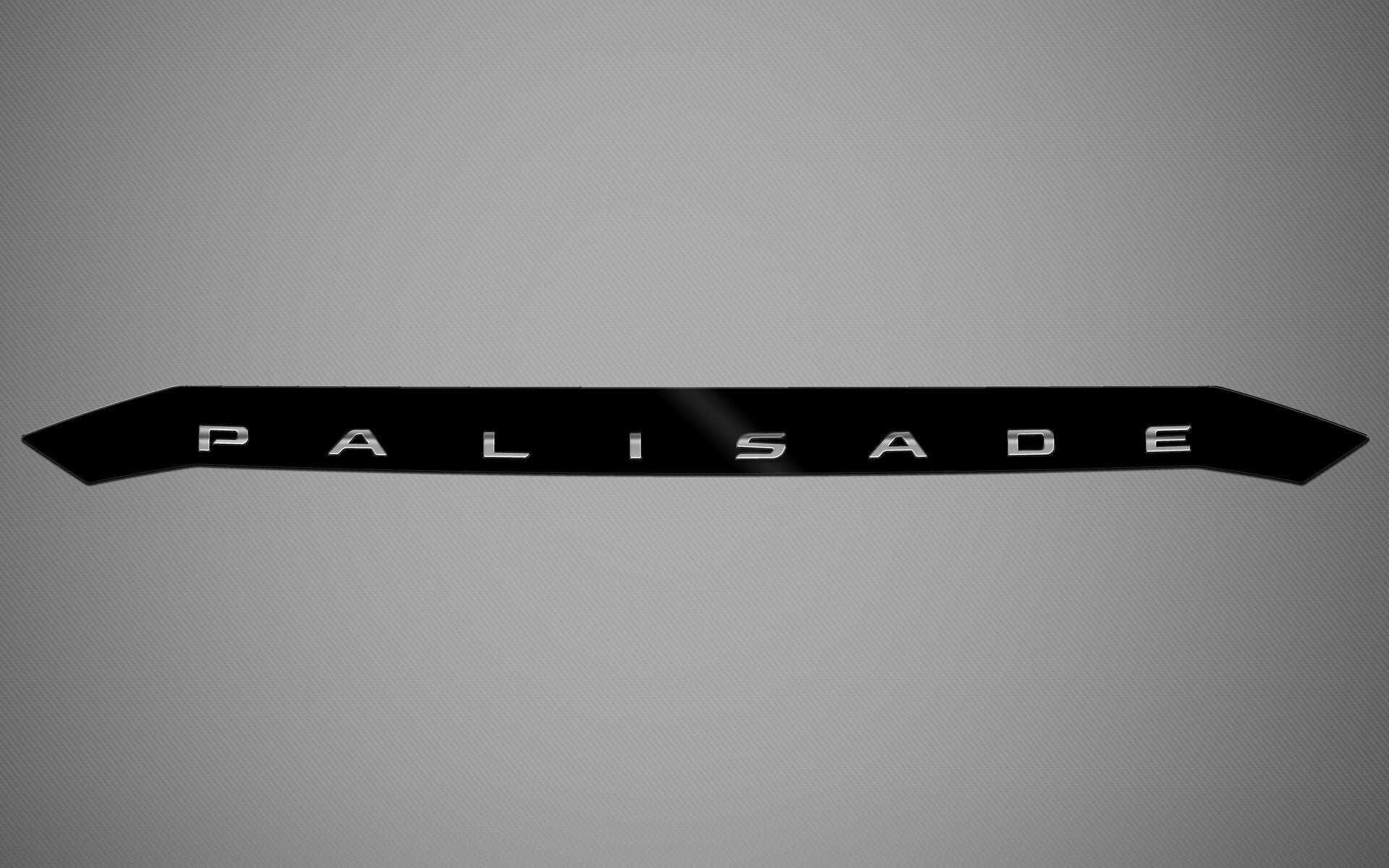 Hood Protector w/ Logo for 2020-2025 Hyundai Palisade — 2