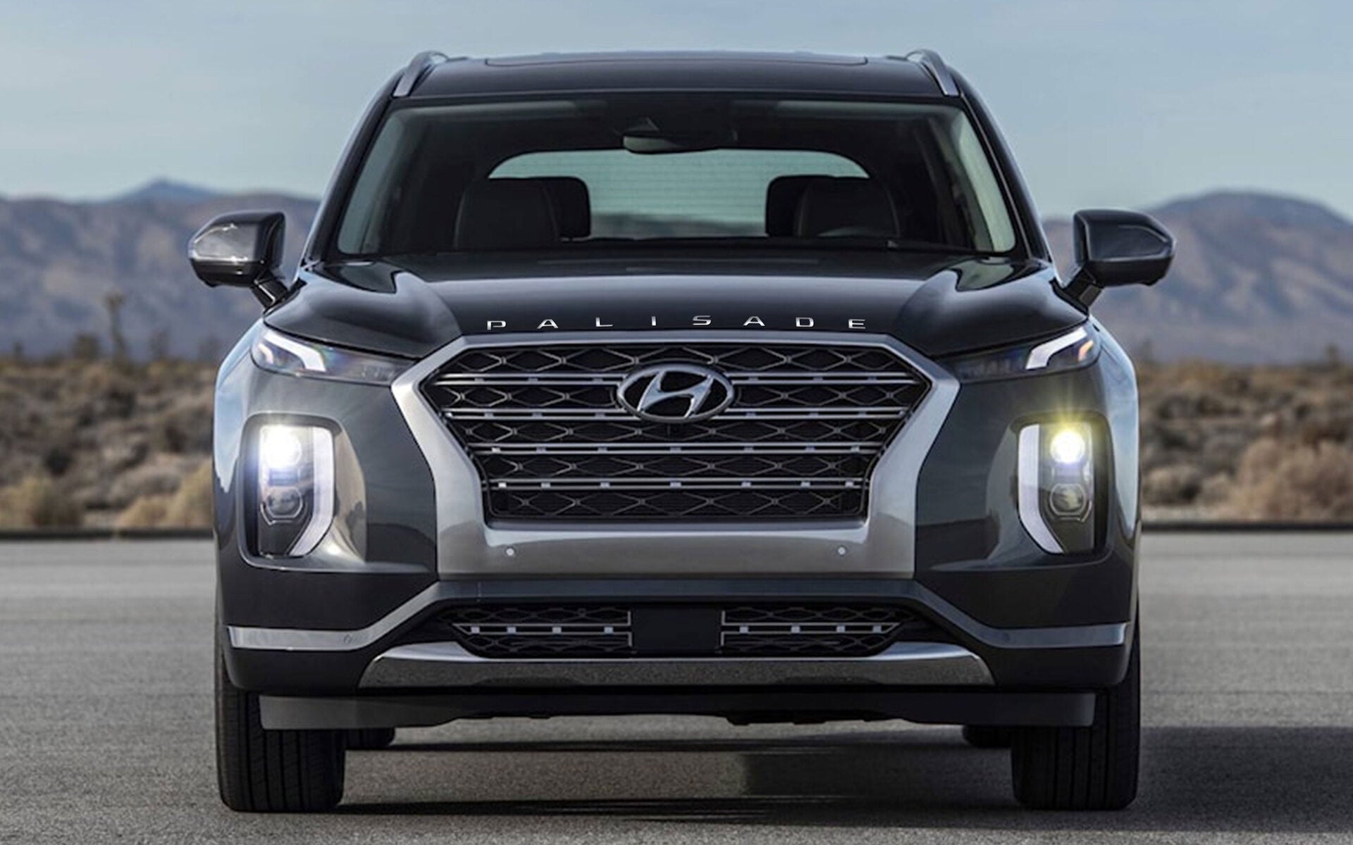 Hood Logo for 2020-2025 Hyundai Palisade — 2