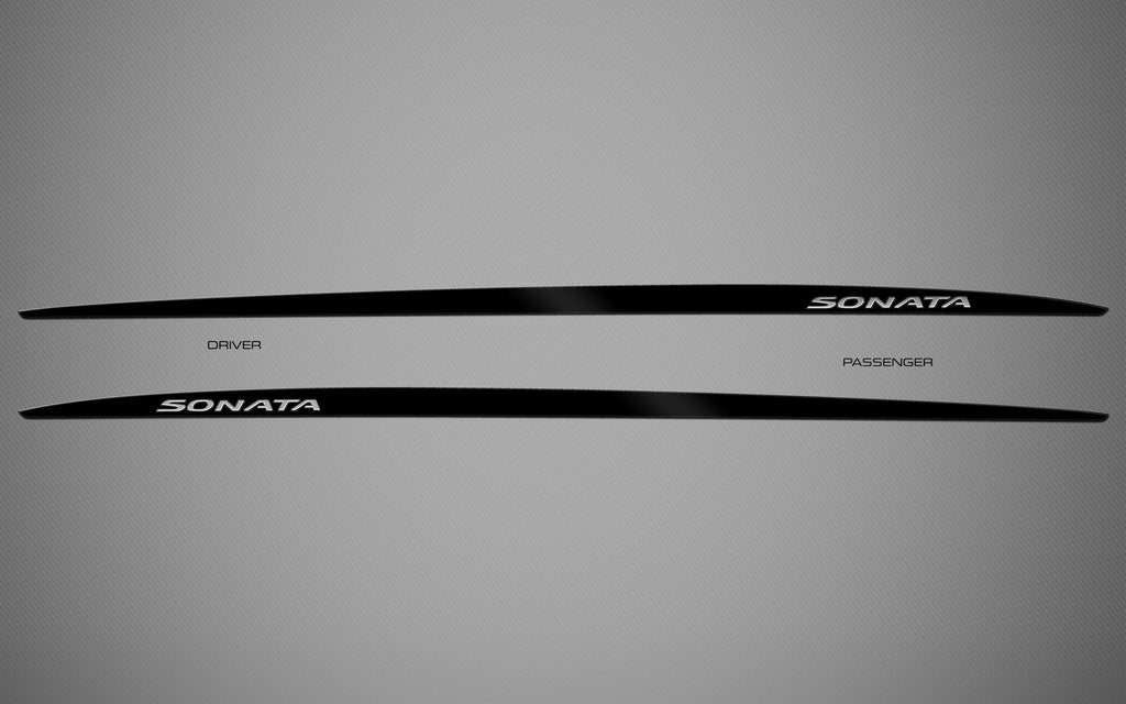 Rocker Trims for 2020-2023 Hyundai Sonata — 4