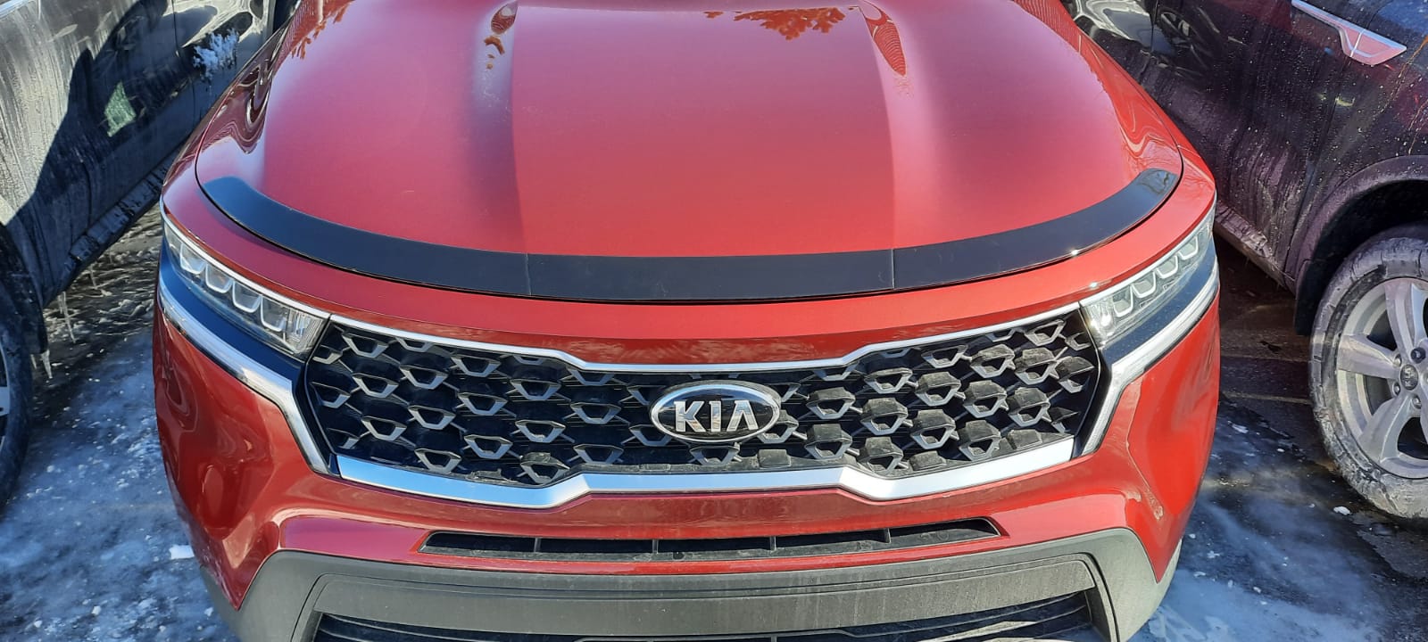 Hood Protector for 2021-2023 Kia Sorento — 2