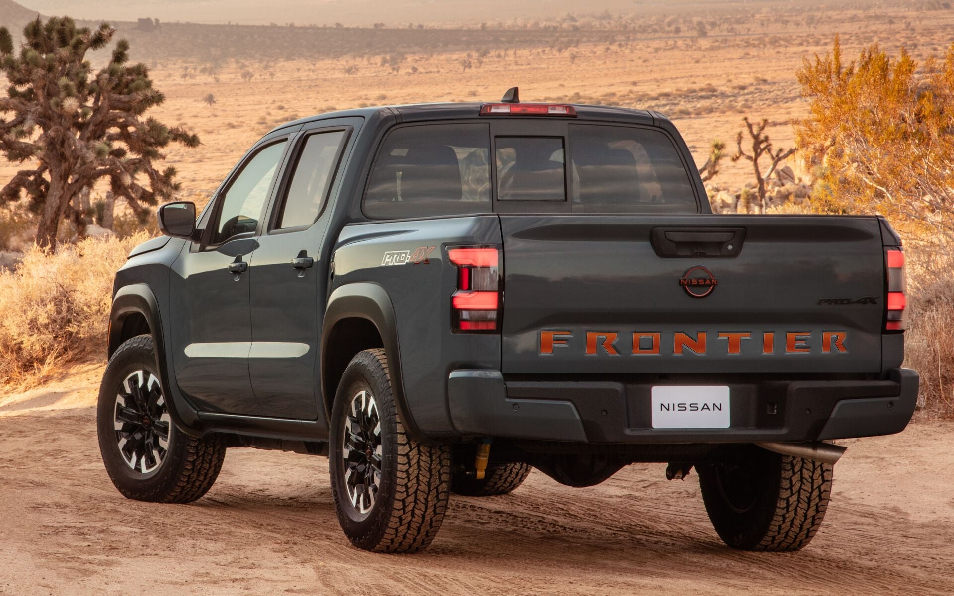 Tailgate Logo for 2022-2026 Nissan Frontier (Crew Cab) — 6