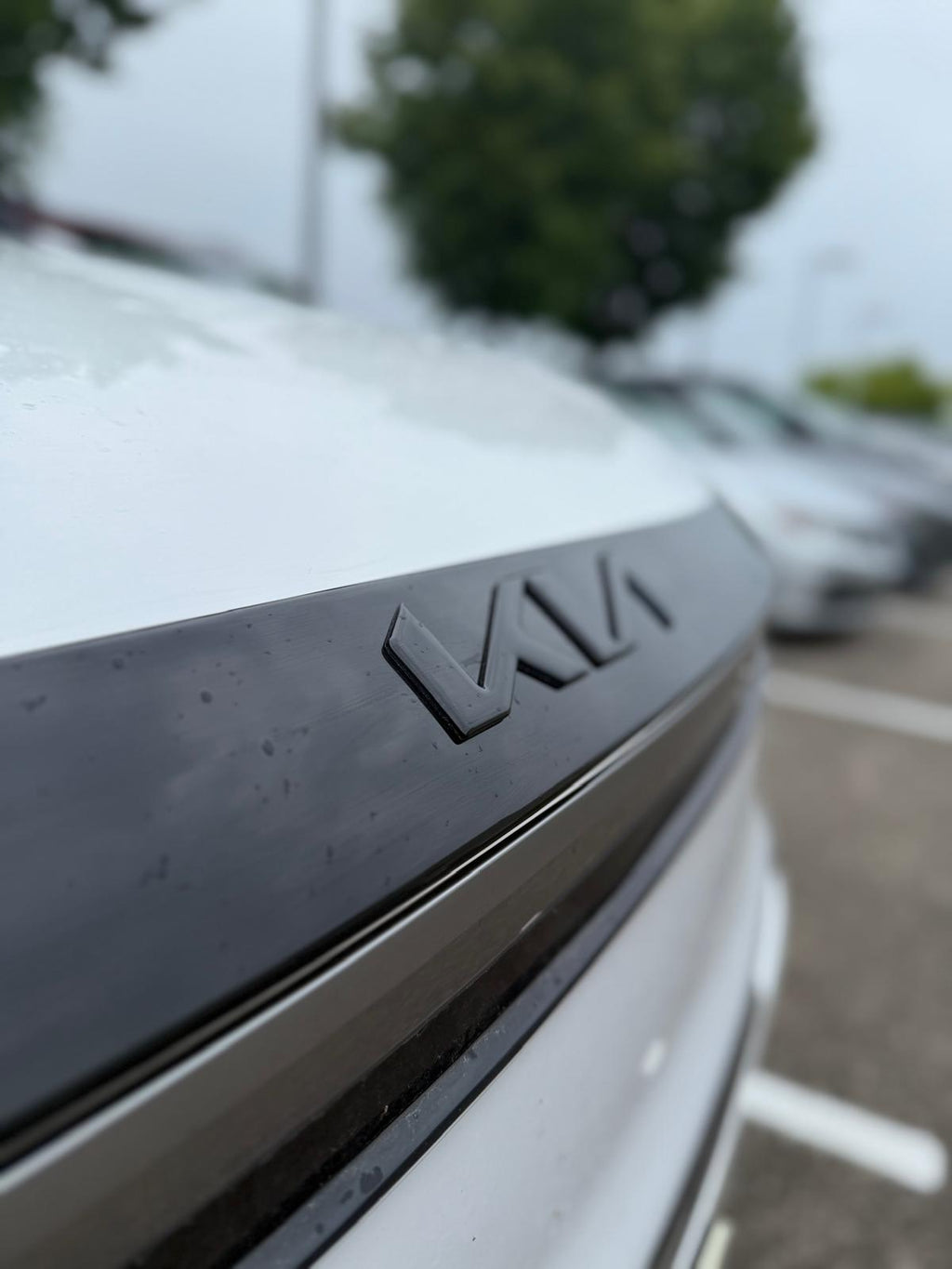 Hood Protector for 2023-2026 Kia Niro (Cut-Out) — 3